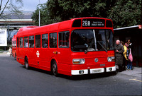 Route 268, London Transport, LS161, THX161S