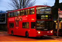 Route 313, Arriva London, DLA95, T295FGN, Chingford Stn