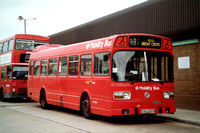 Route 981, London Transport, LS256, THX256S, Park Royal
