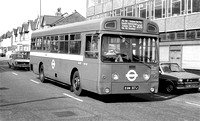 Route 205, London Transport, SMS317, EGN317J