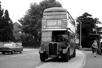 Route 213A, London Transport, RT690, JXC53, Cheam Road