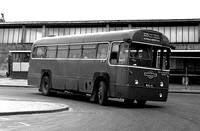 Route 223, London Transport, RF364, MXX6