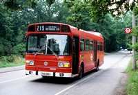Route 219, London Transport, LS181, THX181S, Weybridge