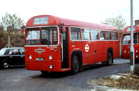 Route 219, London Transport, RF437, MXX414, Kingston