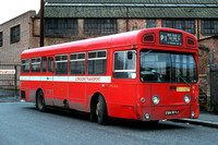 Route P1, London Transport, SMS564, EGN564J