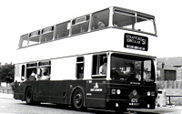 Route S1, East London Buses, T613, NUW613Y, West Ham