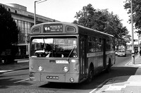 Route W4, London Transport, MBS253, VLW253G