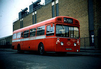 Route P1, London Transport, MBS443, VLW443G