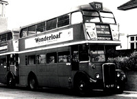 Route 239, London Transport, RT340, HLX157