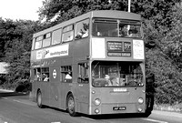Route 39A, London Transport, DMS409, JGF409K, Putney Heath