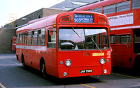 Route 503, London Transport, SMS756, JGF756K, Victoria Garage