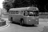 Route 80A, London Transport, RF381, MXX23, Morden