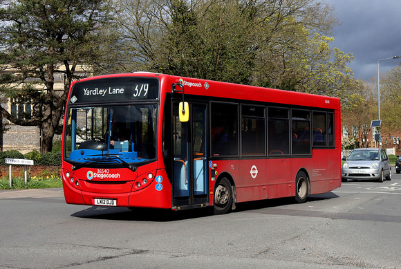 Route 379, Stagecoach London 36540, LX12DJD, Chingford