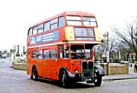 Route 72, London Transport, RT4037, LUC196, Hampton Court