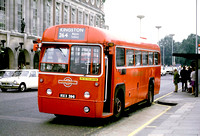 Route 264, London Transport, RF419, MXX396, Kingston