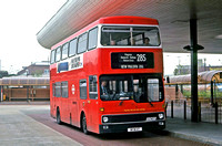 Route 285, London Transport, M11, WYW11T, Heathrow