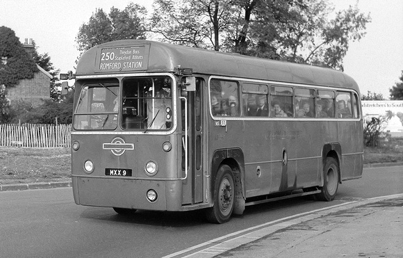 Route 250, London Transport, RF367, MXX9