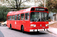 Route 210, London Transport, LS172, THX172S, Golders Green