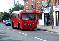Route 241, London Transport, RF429, MXX406, Sidcup