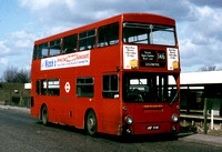 Route 146, London Transport, DMS411, JGF411K, Bromley