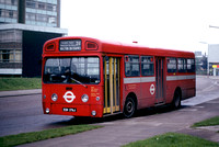 Route 211, London Transport, SMS179, EGN179J, Walton