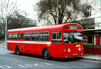 Route 210, London Transport, SMS707, JGF707K, Golders Green
