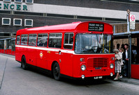 Route 210, London Transport, BL49, OJD49R, Brent Cross