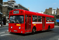 Route 241, London Transport, SMS603, EGN603J
