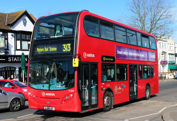 Route 313, Arriva London, T255, LJ61LKD, Chingford