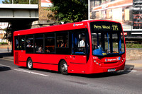 Route 273, Stagecoach London 36303, LX56DZW, Lee