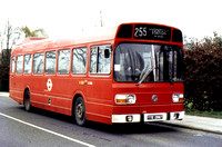 Route 255, London Transport, LS285, YYE286T, Loughton