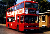 Route 299, London Transport, T600, NUW600Y