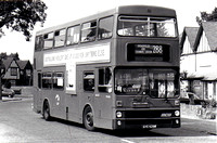 Route 288, London Transport, M428, GYE428W