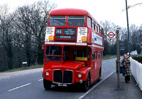 Route 146, London Transport, RM399, WLT399, Keston