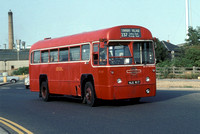 Route 237, London Transport, RF617, NLE617, Sunbury