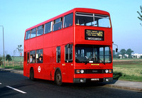Route N82, London Transport, T893, A893SYE