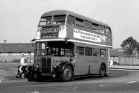 Route 87, London Transport, RT3911, LLU710, Harold Hill