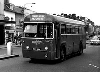 Route 237, London Transport, RF509, MXX486, Hounslow