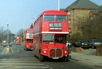 Route 43, London Transport, RML2579, JJD579D, Muswell Hill