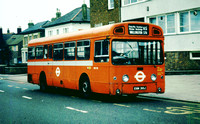 Route 115, London Transport, SMS310, EGN310J, Wallington