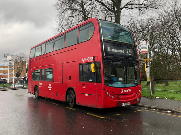 Route 229, Arriva London, T37, LJ08CUG, Queen Mary's Hospital