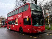 Route 229, Arriva London, T36, LJ08CUC, Queen Mary's Hospital