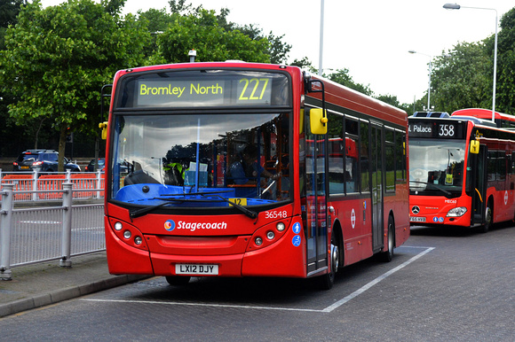 Route 227, Stagecoach London 36548, LX12DJY, Crystal Palace