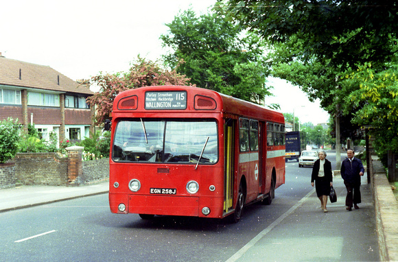 Route 115, London Transport, SMS258, EGN258J