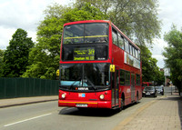 Route 319, Arriva London, DLA184, W384VGJ, Wandsworth Common