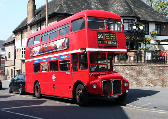 Route 36, London Transport, RM1955, ALD955B, East Grinstead