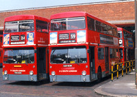 Route 59, South London Buses, DMS2423, OJD423R, Thornton Heath