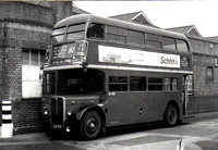 Route 242, London Transport, RT1974, LUC63, Potters Bar Garage