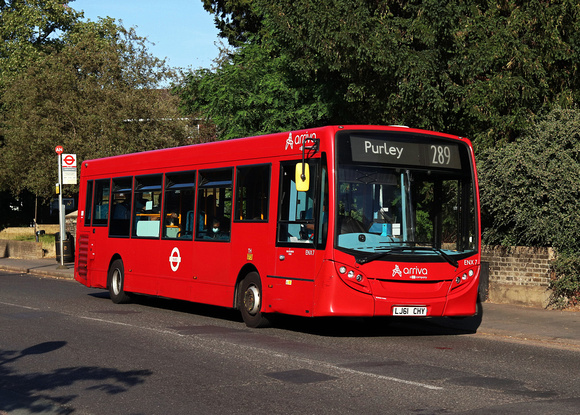 Route 289, Arriva London, ENX7, LJ61CHY, Addiscombe