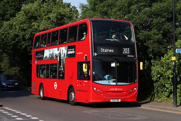 Route 203, London United RATP, ADE40401, YX12FNG, Hatton Road